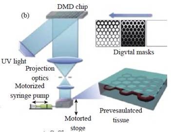 生物3D打印技術的應用及激光應用技術的挑戰